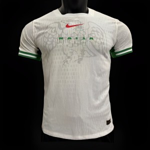 Player Version 2024 Nigeria Home Jersey